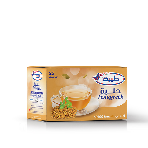 حلبة
